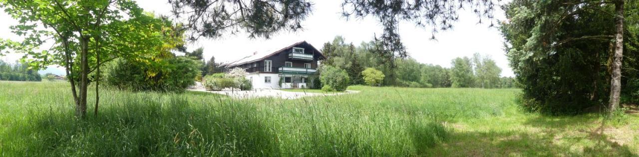 Damberg Appartement *