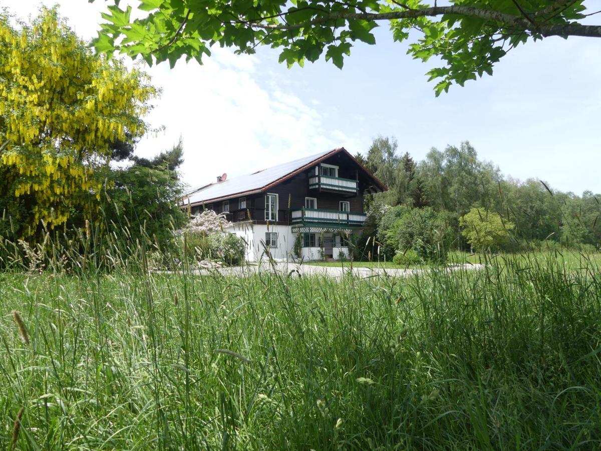 Appartement Damberg *